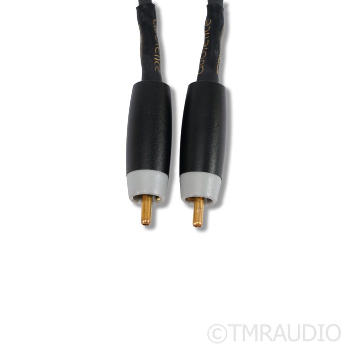Audience OHNO RCA Cables; 2m