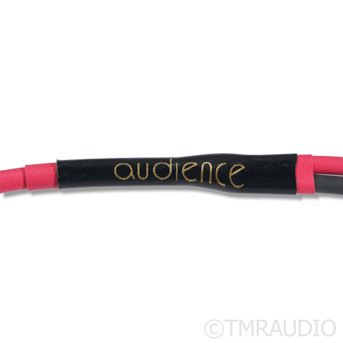 Audience Studio TWO Speaker Cables; 3m
