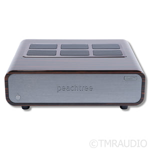 Peachtree Audio GaN400 Power Amplifier