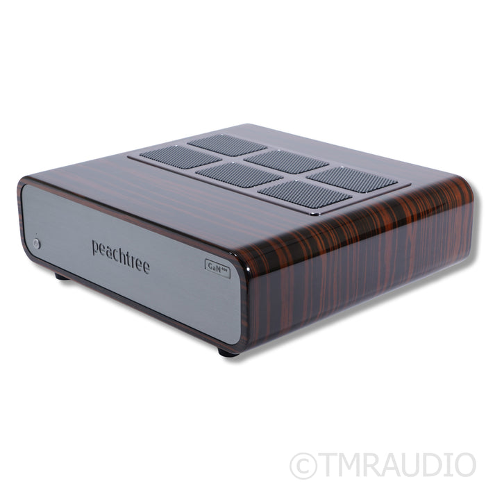Peachtree Audio GaN400 Power Amplifier