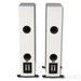 DALI Rubikore 6 Floorstanding Speakers