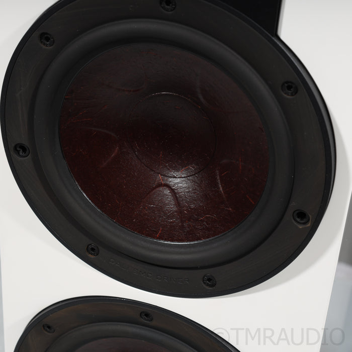 DALI Rubikore 6 Floorstanding Speakers