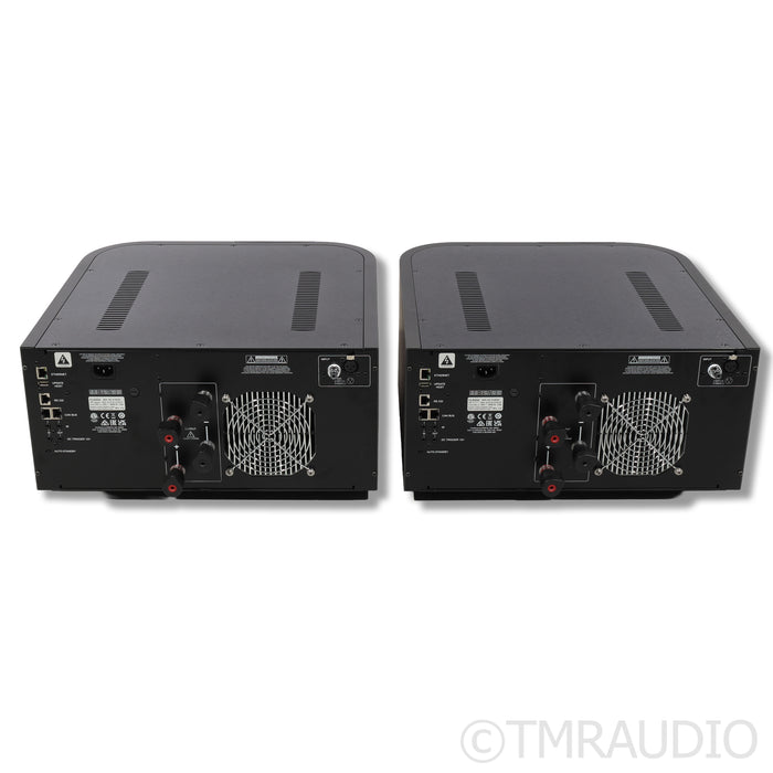 Classe Audio Delta MONO Monoblock Power Amplifiers