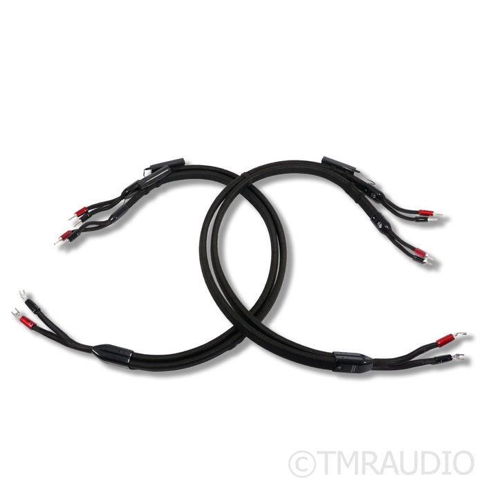 AudioQuest Dragon Zero/Bass Bi-Wire Speaker Cables; 5ft