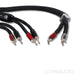 AudioQuest Dragon Zero/Bass Bi-Wire Speaker Cables; 5ft