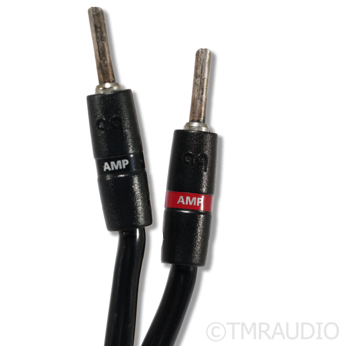 AudioQuest Rocket 44 Speaker Cables; 8ft