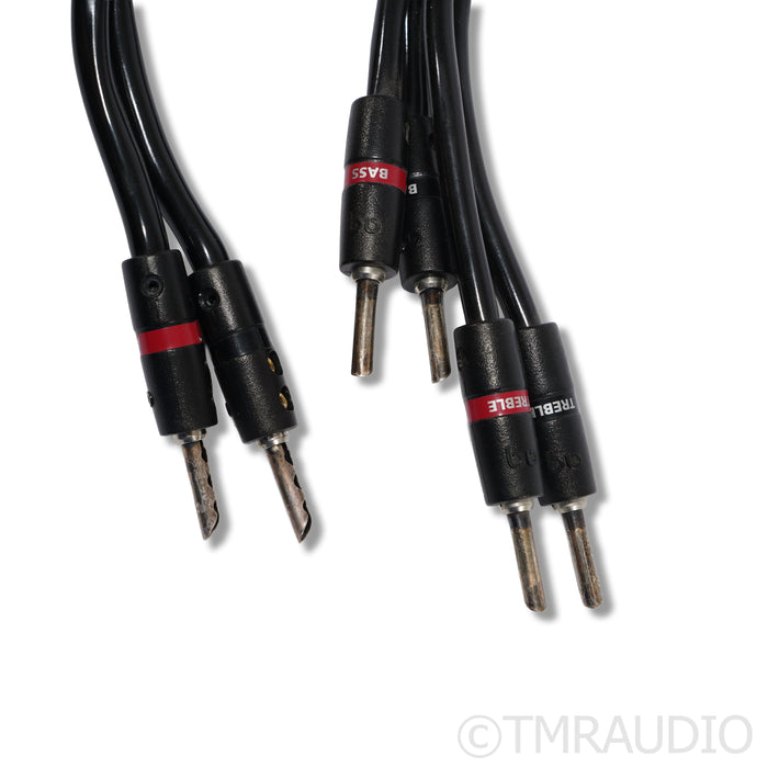 AudioQuest Rocket 44 Speaker Cables; 8ft