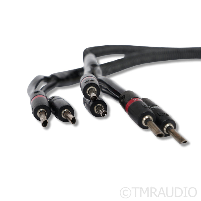AudioQuest Rocket 44 Speaker Cables; 8ft