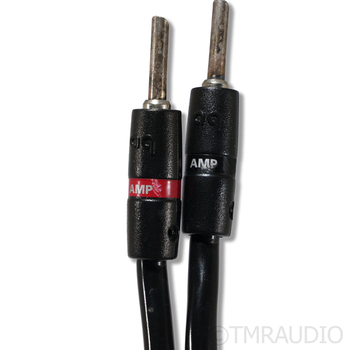 AudioQuest Rocket 44 Speaker Cables; 8ft