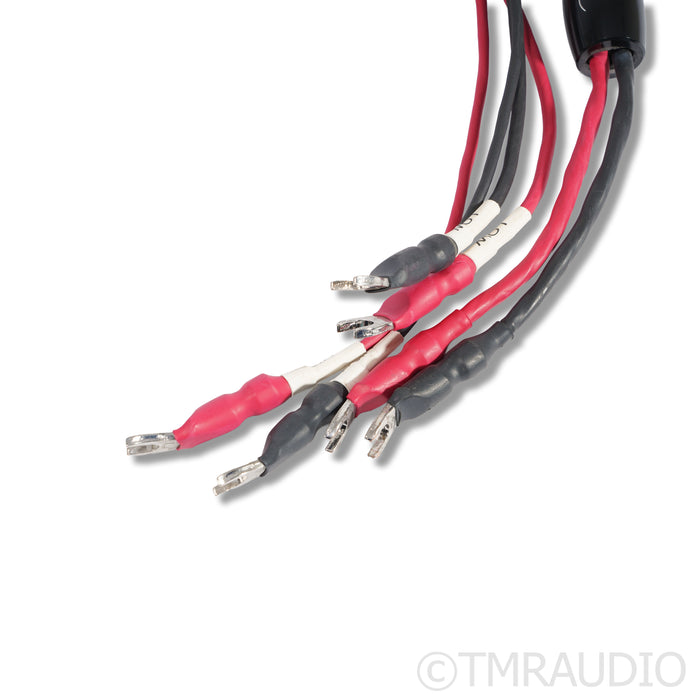 Cardas Clear Cygnus Speaker Cables; 2.5m