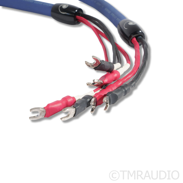 Cardas Clear Cygnus Speaker Cables; 2.5m