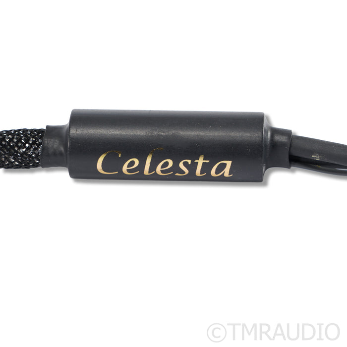 Esprit Audio Celesta Tonearm Cable; XLR to DIN; 1.2m