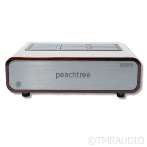 Peachtree Audio GaN400 Power Amplifier