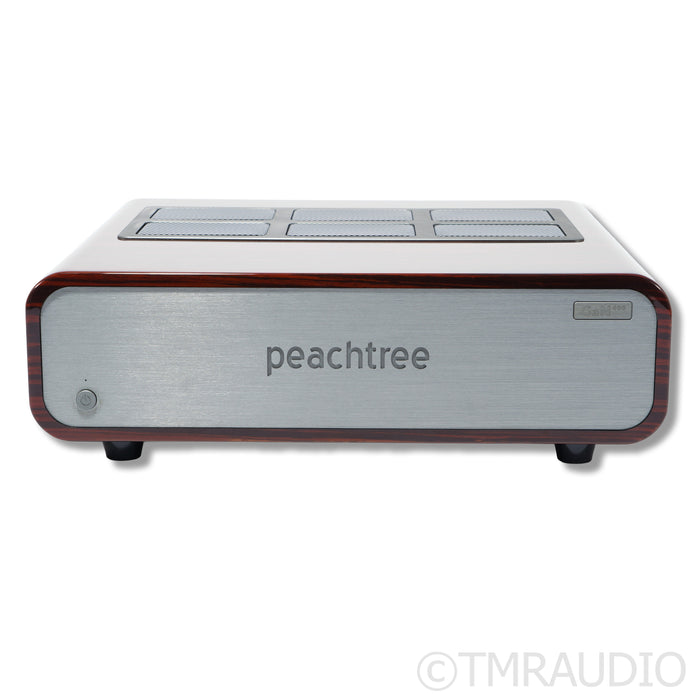 Peachtree Audio GaN400 Power Amplifier