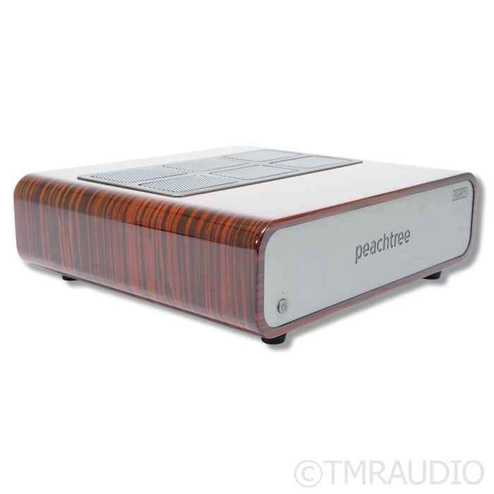 Peachtree Audio GaN400 Power Amplifier