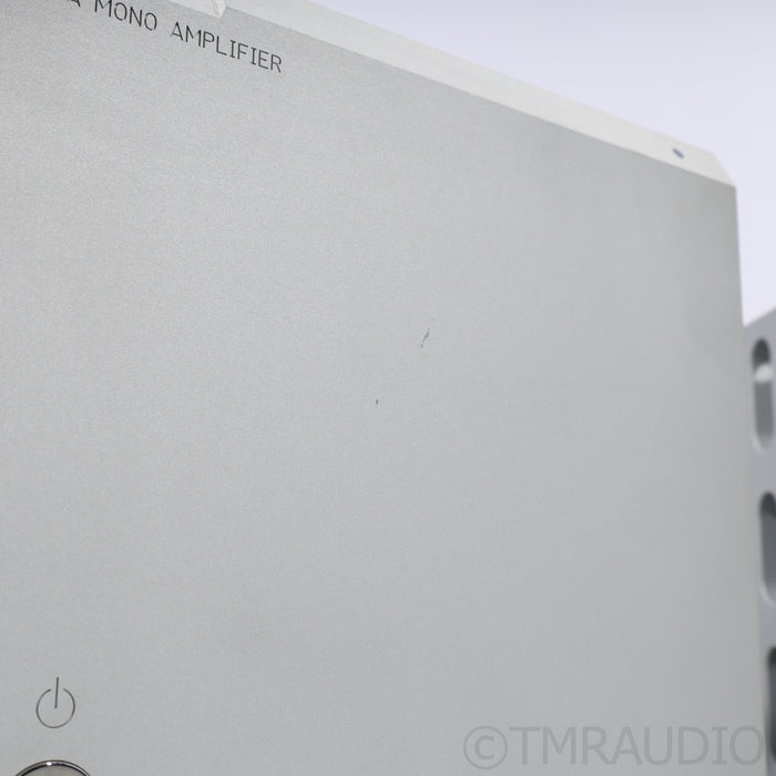 Boulder 2050 Class-A Monoblock Power Amplifiers