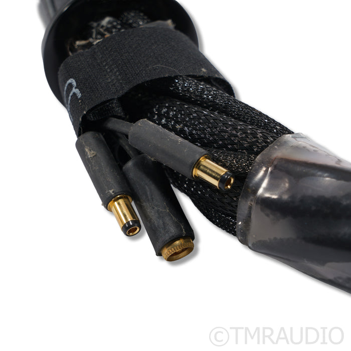 Synergistic Research Galileo LE Speaker Cables; 3.5m