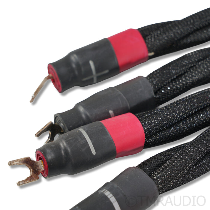 Synergistic Research Galileo LE Speaker Cables; 3.5m
