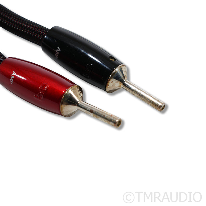 AudioQuest William Tell Zero Speaker Cables; 2m