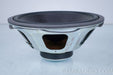 Mirage 12" Woofer