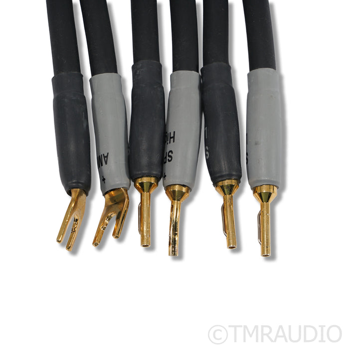 Shunyata Research Alpha V2 Speaker Cables; 2m