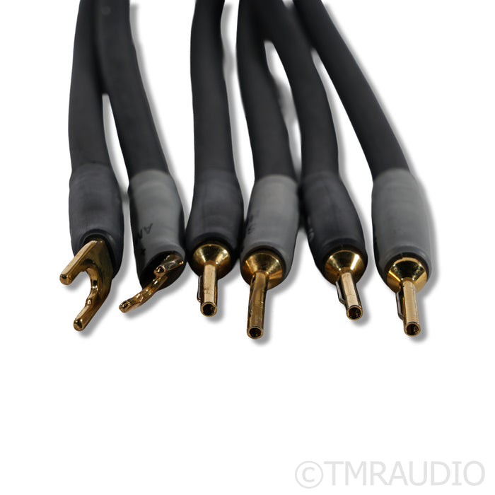 Shunyata Research Alpha V2 Speaker Cables; 2m