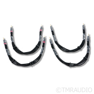 Synergistic Research SRX IFT Jumper Speaker Cables; 0.5m