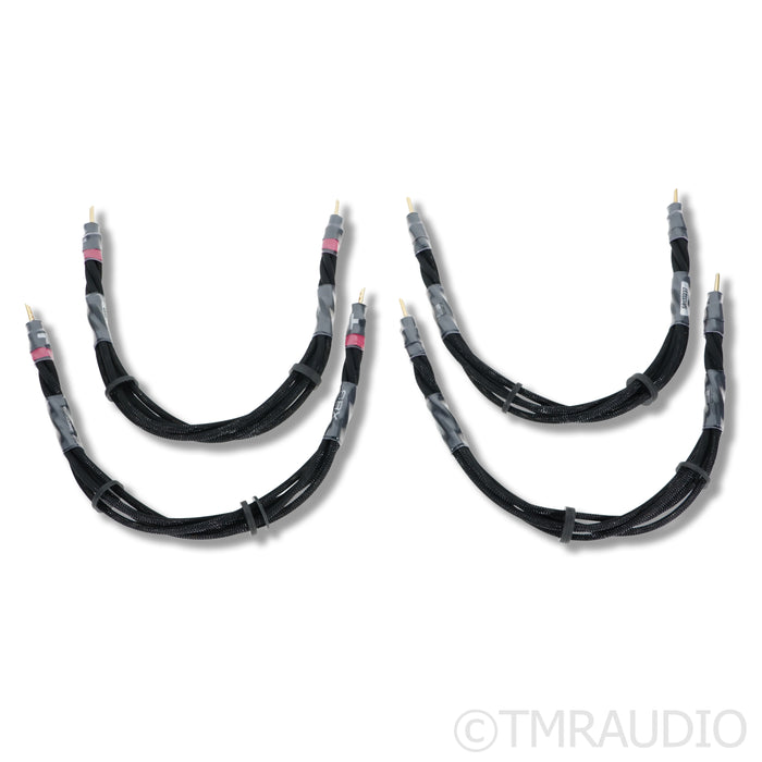 Synergistic Research SRX IFT Jumper Speaker Cables; 0.5m