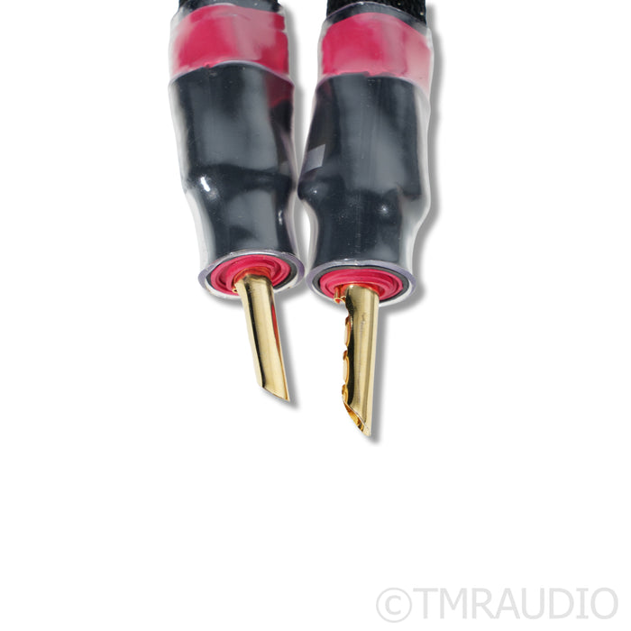 Synergistic Research SRX IFT Jumper Speaker Cables; 0.5m