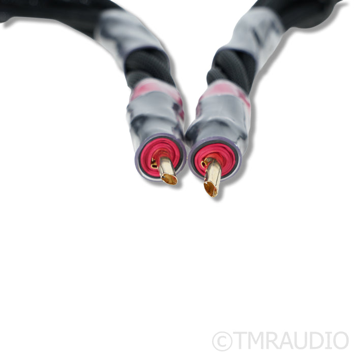 Synergistic Research SRX IFT Jumper Speaker Cables; 0.5m