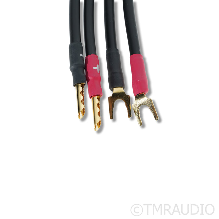 Synergistic Research Atmosphere Euphoria SX Speaker Cables; 2.5m