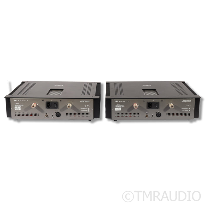 Schiit Audio Tyr Monoblock Power Amplifiers