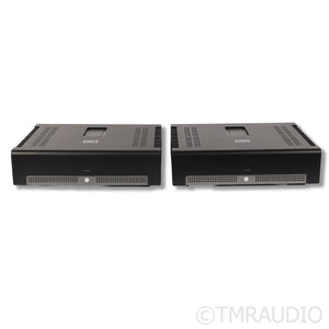 Schiit Audio Tyr Monoblock Power Amplifiers