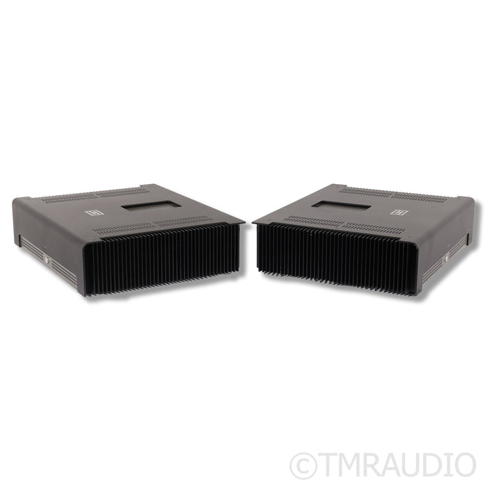 Schiit Audio Tyr Monoblock Power Amplifiers