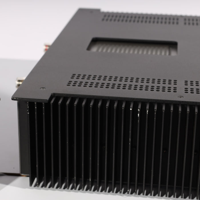 Schiit Audio Tyr Monoblock Power Amplifiers