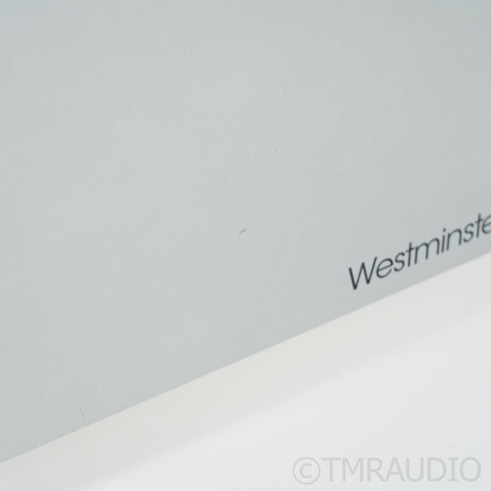 Westminster Lab Rei Monoblock Power Amplifiers