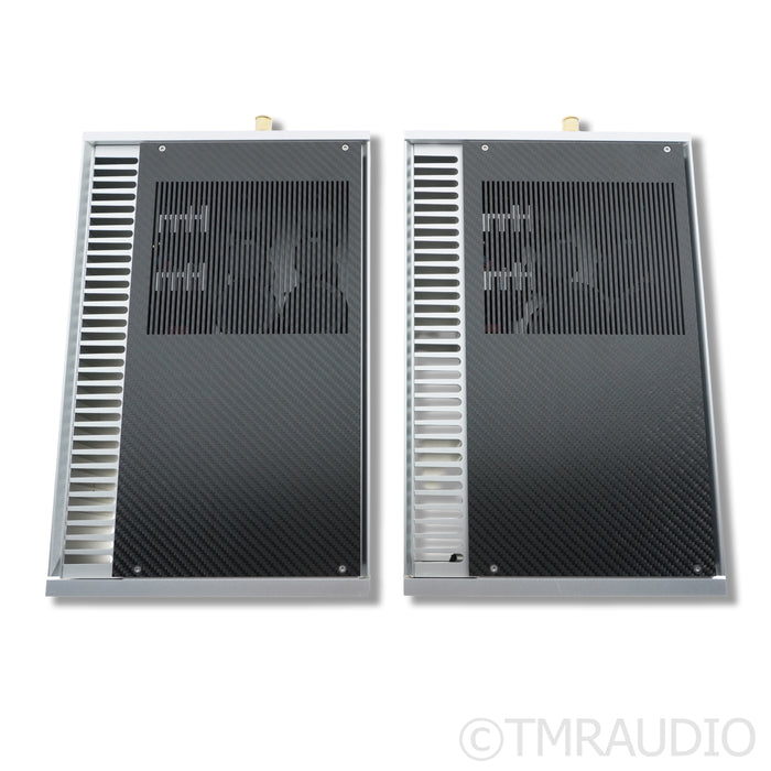 Westminster Lab Rei Monoblock Power Amplifiers