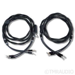 Esprit Audio Eterna Speaker Cables; 3m