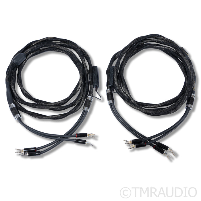 Esprit Audio Eterna Speaker Cables; 3m