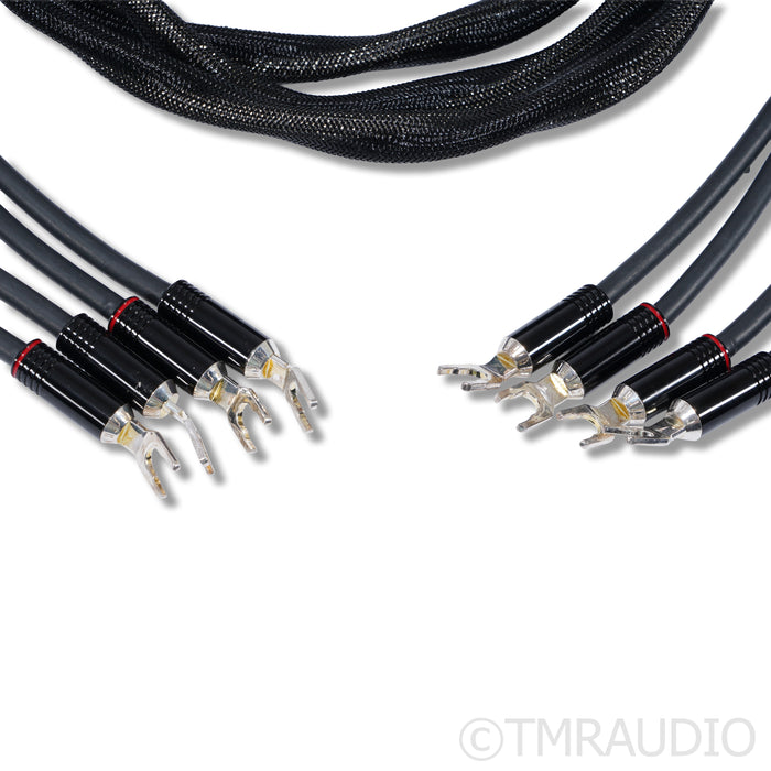 Esprit Audio Eterna Speaker Cables; 3m