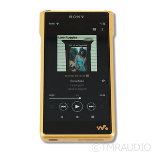 Sony Walkman NW-WM1ZM2 Portable Music Player