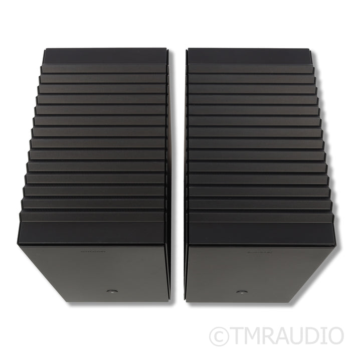 Audionet Heisenberg Monoblock Power Amplifiers