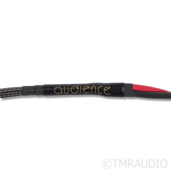 Audience AU24 SX Speaker Cables; 3m