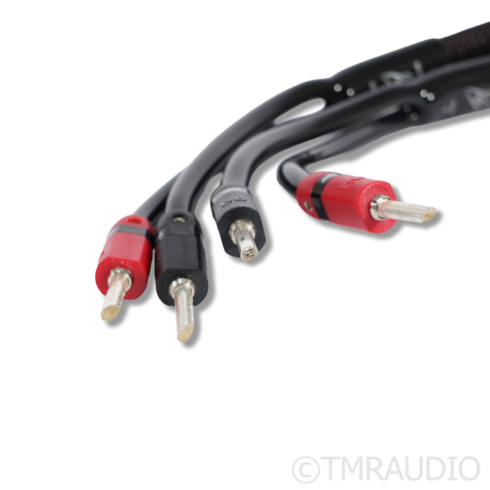 AudioQuest Rocket 33 Speaker Cables; 3m