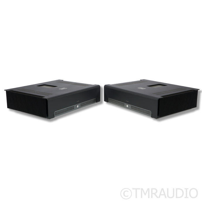 Schiit Audio Tyr Monoblock Power Amplifiers
