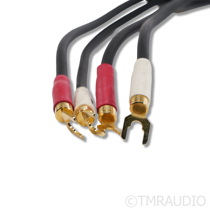 Shunyata Research ZiTron Python Speaker Cables; 3m