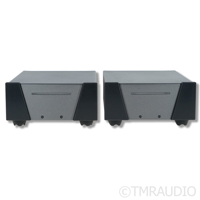 Wyred 4 Sound SX-1000R Monoblock Power Amplifiers
