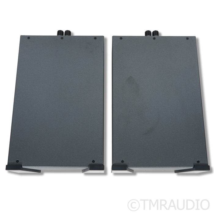 Wyred 4 Sound SX-1000R Monoblock Power Amplifiers