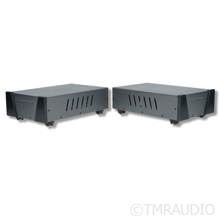 Wyred 4 Sound SX-1000R Monoblock Power Amplifiers