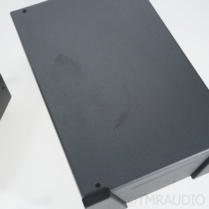 Wyred 4 Sound SX-1000R Monoblock Power Amplifiers
